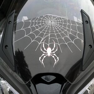 Spyder ST Windshield Blackout kit. This has a custom design to it but is also available in solid colors. ORDER 814-838-6388