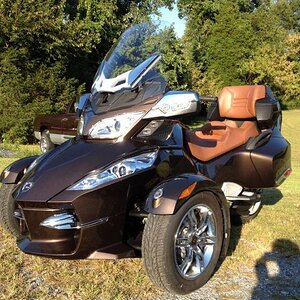 Scootie, the day she came home September 2012.