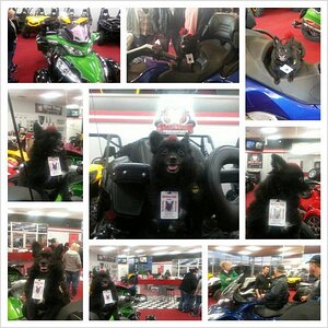 uploadfromtaptalk1362396480538