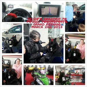 uploadfromtaptalk1362396432010