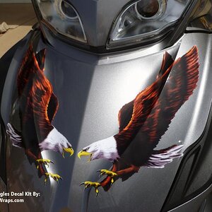 Screaming Eagles Graphics kit. Yes, you just peel & stick to apply these high resolution graphics. Made for all makes of Spyders.  Order 814-838-6344