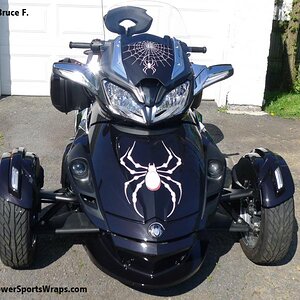 ST S Bellerdine White spider 6