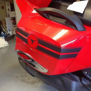 GT Stripes Saddlebags with "Family Logo"