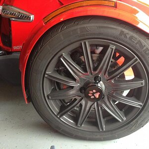 GloRyders black pawprint with remote control 9 light selection system.