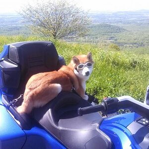 946088 481646315239762 876422016 n