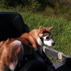 601769 481646195239774 1391717258 n