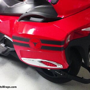 3M CF saddle bags racing stripes with custom emblem.