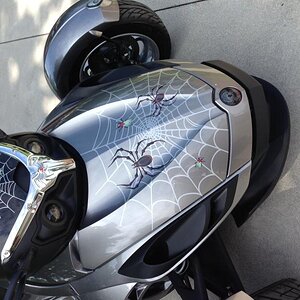 Web  Spider Fly 5 RS