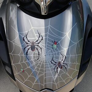 Vinyl cut web with added elements Bellerdine spiders and fly's. This is a layered design using our high performance vinyl. I would not consider this t