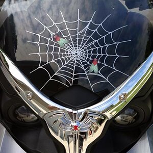Windshield web: Silver metallic vinyl with digital fly's. Email: pete@powersportswraps.com