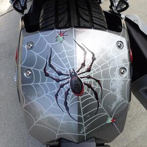 Web  Spider Fly mounted on rear fender using vinyl cut elements. What's your idea?  Email: pete@powersportswraps.com