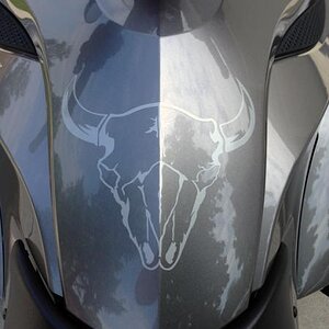 Cow Skull... ?  What the customer wants he gets..