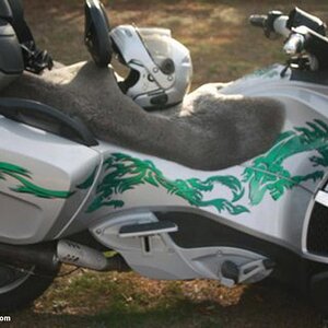 Right side Dragon graphics produced for the Spyder RT by PowerSportsWraps.com 814-838-6377