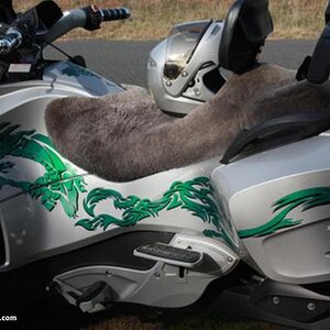 Dragon RT custom Spyder RT graphics by: Powersportswraps.com Email us your ideas for your Spyder. Email: pete@powersportswraps.com