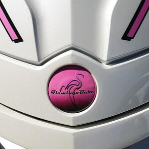 As we normally do we created this custom BRP emblem cover for Charlyne. What a look she has..!