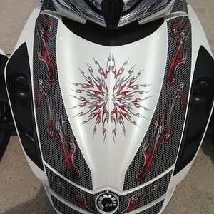 Ghost 104 Red Honey Comb- Front trunk and as you can see we produced this on transparent film so the bike colors show through in the lighter sections.