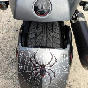 bellerdine over vinyl cut web- Rear fender with our BRP emblem cover.