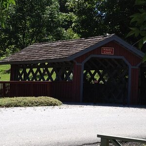 58245 3173614316807 1987188936 n