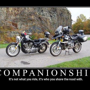 Companionship