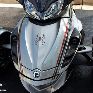 ST Break Stripe with small Bellerdine spider.