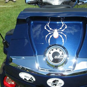 Bellerdine White - small spider To order: 814-838-6377