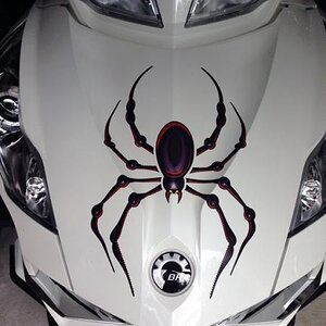 Red Bellerdine frunk decal for all model Spyders. ORDER 814-838-6377