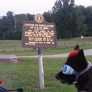 Teddy ryde'n redneck style with a stripped sled at the airport viewing area & marker showing the area was the center of population back in 1880