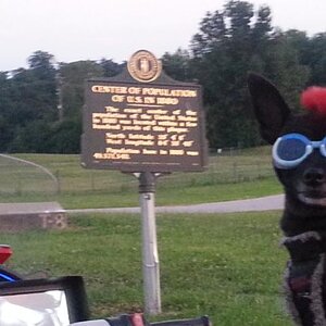 Teddy ryde'n redneck style with a stripped sled at the airport viewing area & marker showing the area was the center of population back in 1880
