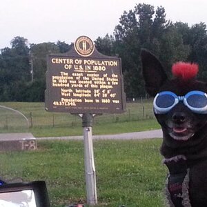 Teddy ryde'n redneck style with a stripped sled at the airport viewing area & marker showing the area was the center of population back in 1880