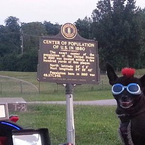 Teddy ryde'n redneck style with a stripped sled at the airport viewing area & marker showing the area was the center of population back in 1880