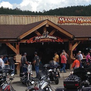 MANGY MOOSE, HILL CITY, SD