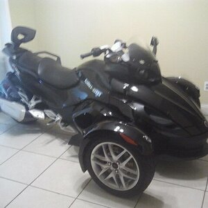 this is where it sleeps, inside so it doesn't get sick lol