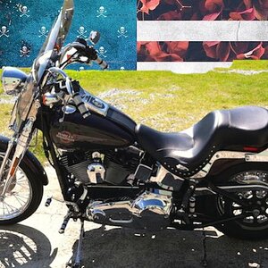 Current '05 Springer in Athens, Ga