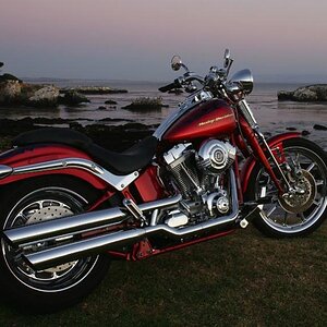 Previous Springer CVO Special Edition