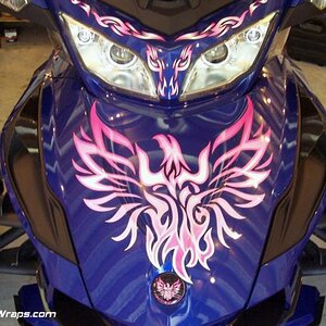 Phoenix Tribal Pink fade - RT Phoenix tribal kit Pink-White fade.