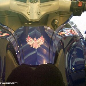 Phoenix Tribal Pink fade 4