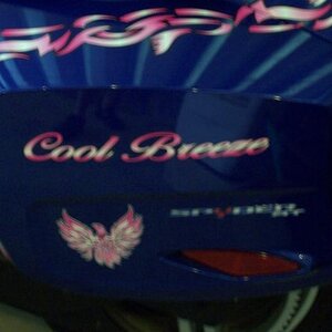 Phoenix Tribal Pink fade- saddlebag design.