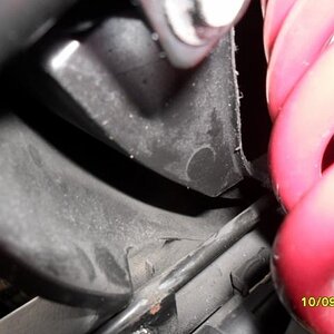 This pictures shows how much I cut away to give room for the Elka shocks