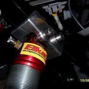 Back view of Relocators