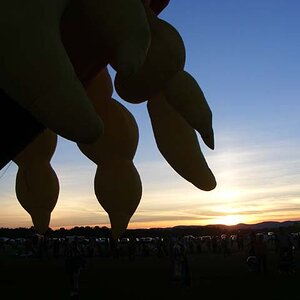 Adirondack Balloon Festival (44)