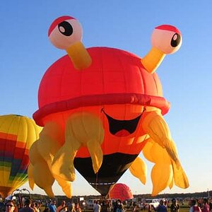 Adirondack Balloon Festival (117)