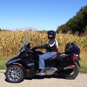 Amongst the corn....