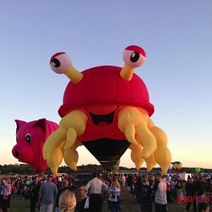 1271168 599866396723302 36767552 o