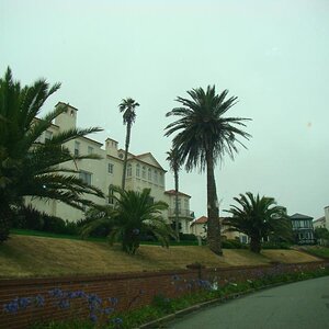 38 NorthernCalifornia 097