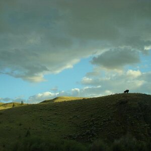 153 Utah Montana 074