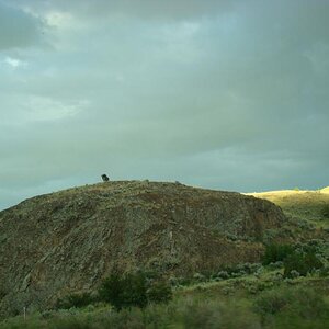 154 Utah Montana 073