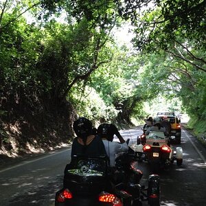 1005496 555782091138377 1869428939 n