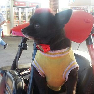 20131018 171645 resized