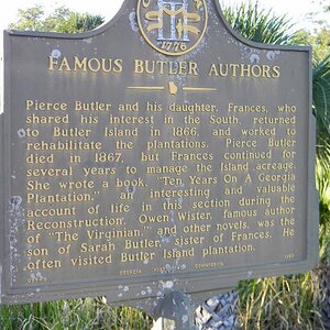 In the 17th and 18th centuries, much of Georgia's coast was in rice, cotton or other types of agriculture.