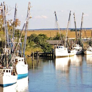 More shrimp boats